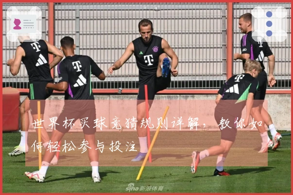世界杯买球竞猜规则详解，教你如何轻松参与投注