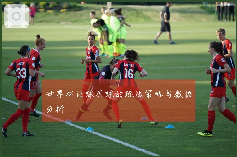 世界杯让球买球的玩法策略与数据分析