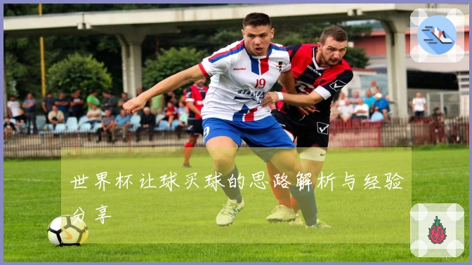 世界杯让球买球的思路解析与经验分享