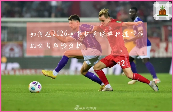如何在2026世界杯买球中把握下注机会与风险分析