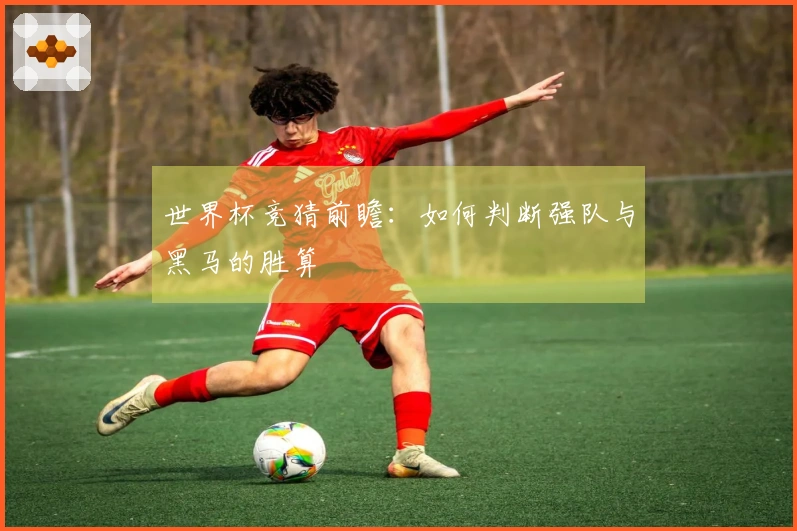 世界杯竞猜前瞻：如何判断强队与黑马的胜算