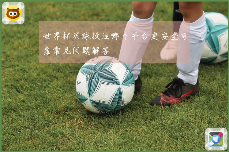 世界杯买球投注哪个平台更安全可靠常见问题解答