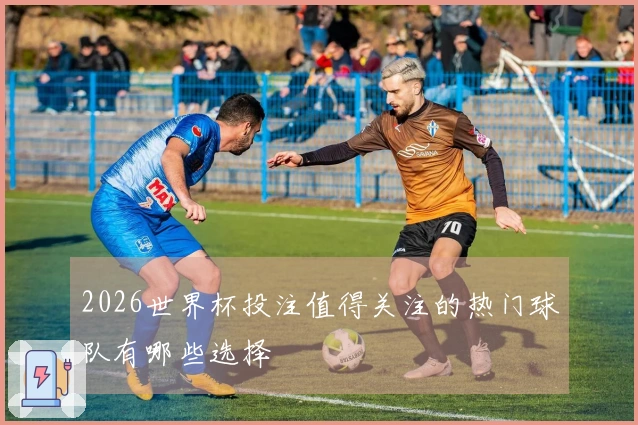 2026世界杯投注值得关注的热门球队有哪些选择