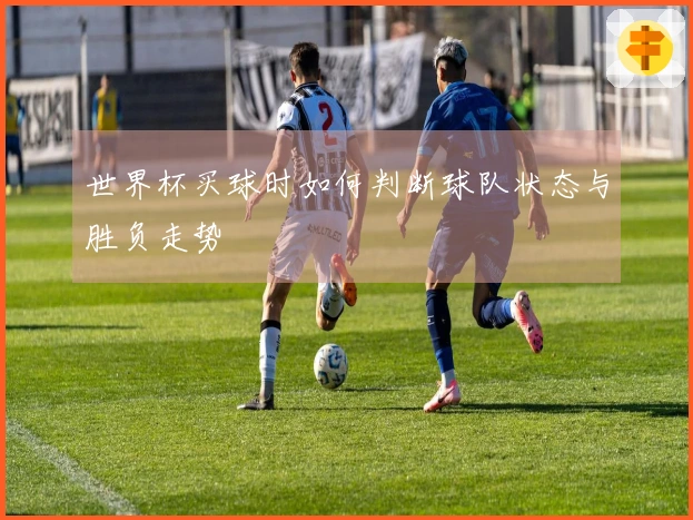 世界杯买球时如何判断球队状态与胜负走势