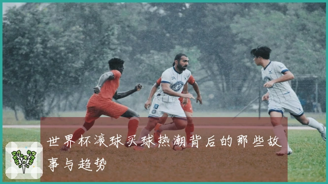 世界杯滚球买球热潮背后的那些故事与趋势